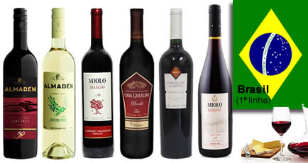 Vinhos Brasil (1ª linha)